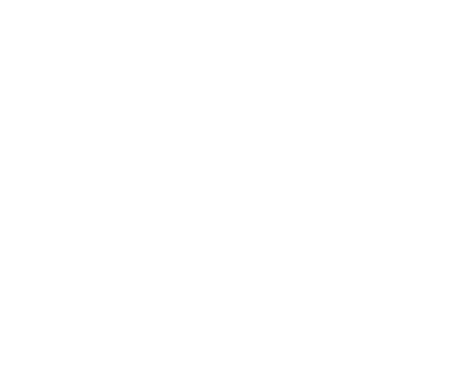 RF Logo faint
